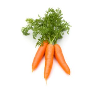 Carrot